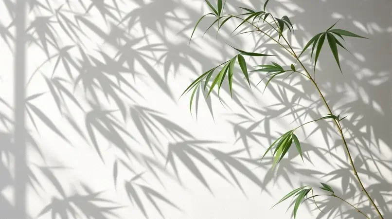 竹影摇风 - 免费看电影网站精选影像封面